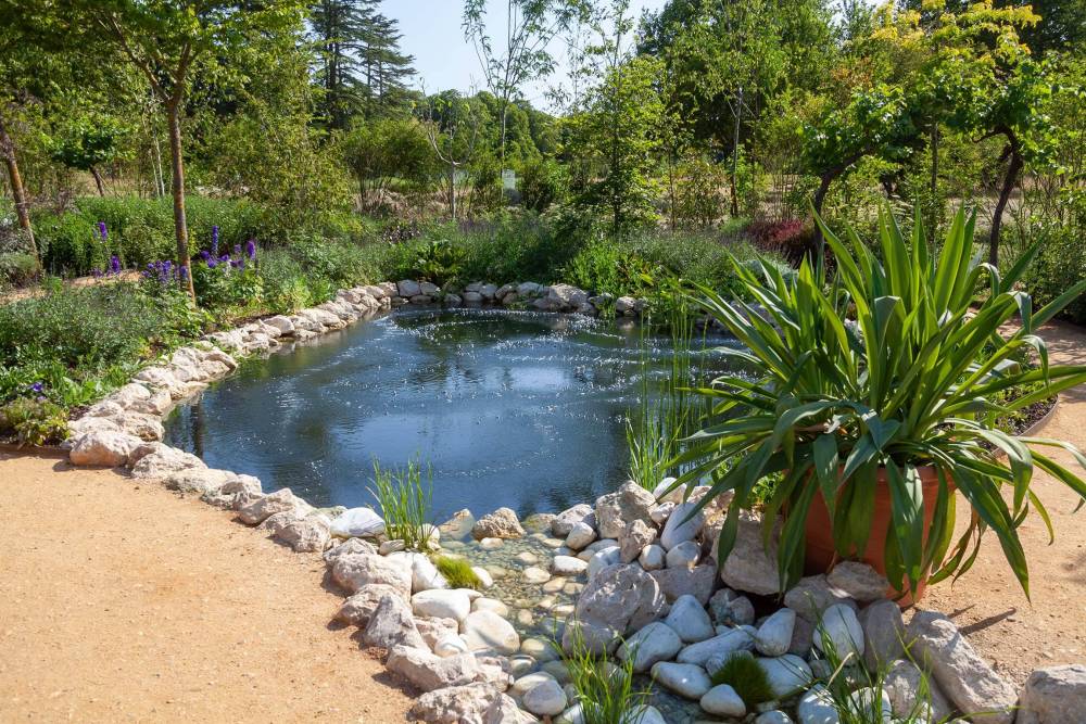 Entretien jardin à Poule les Echarmeaux